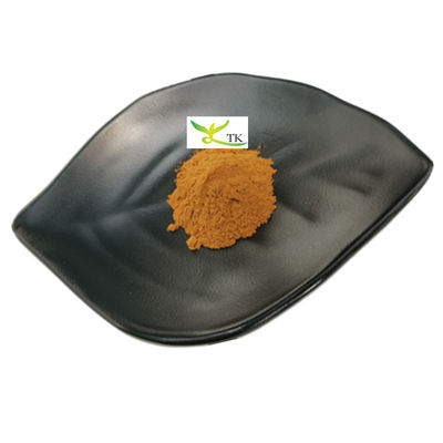 Giá bán buôn 100% Boletus Edulis Extract Penny Bun Extract Powder