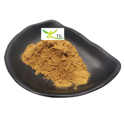 Giá bán buôn bột chiết xuất gốc hương thảo tự nhiên tinh khiết 100%