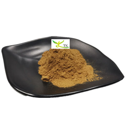 Chiết xuất rau ngọt tự nhiên Glycyrrhiza Glabra Dầu chiết xuất rễ Glycyrrhiza Polysaccharides