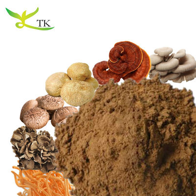 100% tự nhiên Reishi Lion's Mane Shiitake Maitake Chaga Turkey Tail Nấm chiết xuất bột hỗn hợp