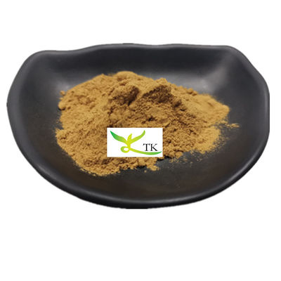 100% chiết xuất nấm châm tự nhiên bột polysaccharides Phellinus Igniarius chiết xuất