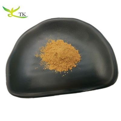 Đồ ăn bán buôn 100% chất liệu chiết xuất Amla tự nhiên bột 10: 1 Phylanthus Emblica chiết xuất bột