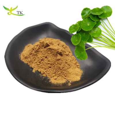 Nhà máy chuyên nghiệp Giá tốt nhất Cung cấp chiết xuất Gotu Kola 10% tổng số Asiaticosides cho mỹ phẩm