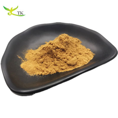 100% chiết xuất thực vật tự nhiên Giá tốt nhất Chiết xuất hạt bưởi bột