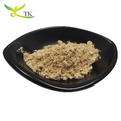 Chất lượng hàng đầu 100% tinh khiết tự nhiên Panax Ginseng gốc chiết xuất Ginsenosides bột 10% ~ 80%