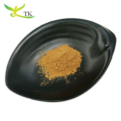 100% Dùng thảo dược tự nhiên của Trung Quốc Dùng thảo dược gốc Astragalus bột Dùng thảo dược Huangqi