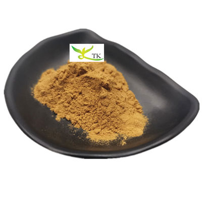 100% thảo mộc Trung Quốc tự nhiên Dang Gui chiết xuất Dong Quai chiết xuất Ligustilide bột