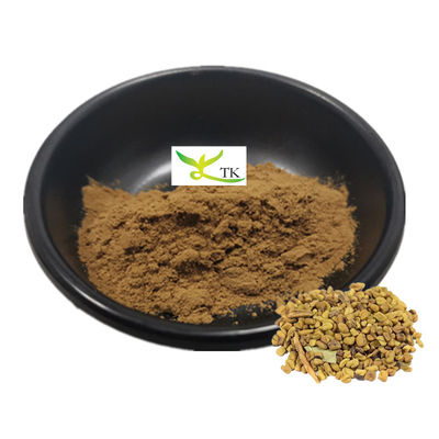 100% Dầu chiết xuất hạt cây cải xanh tự nhiên 10:1 Dầu chiết xuất cây cải xanh Saponin 50% Giá