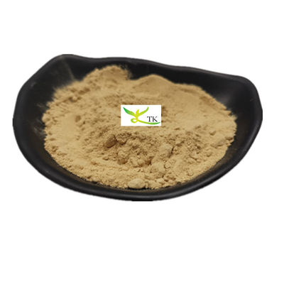 16 năm giá bán buôn nhà máy 100% chất lượng thực phẩm tự nhiên chiết xuất rễ gừng bột hàng loạt