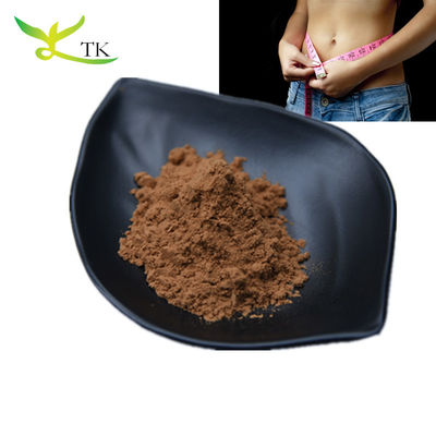 Đồ bán buôn bột giảm cân tự nhiên 100% chiết xuất lá sen bột 10: 1 chất lượng thực phẩm