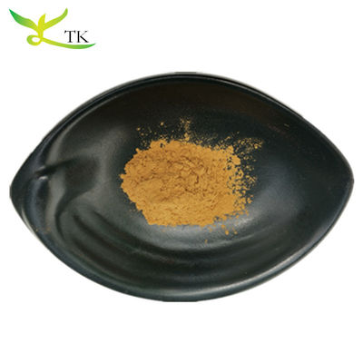 Giá bán buôn 100% Natural Coptis Chinensis Extract 10:1 20:1 Trong kho