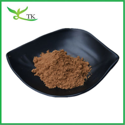100% Chất chiết xuất hạt Camellia tự nhiên Chất chiết xuất hạt trà Bột trà Saponin 60% 90%