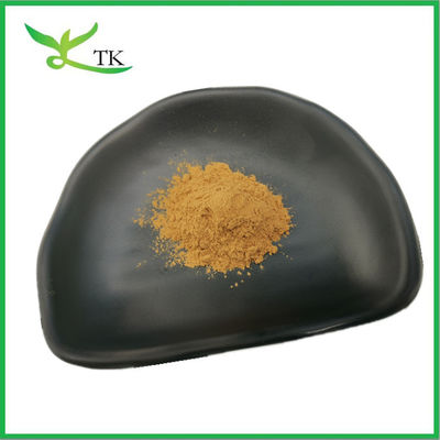 Chiết xuất thực vật tự nhiên bột Malt Extract Powder Barley Malt Extract 10:1