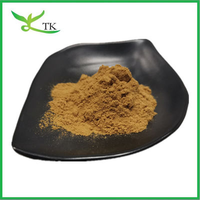 Giá tốt nhất 100% chất liệu chiết xuất quả mọng cây tự nhiên Chasteberry chiết xuất bột 10:1