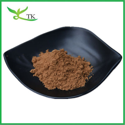 100% thực vật tự nhiên chiết xuất Dandelion rễ chiết xuất bột Dandelion chiết xuất 10:1