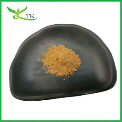 Natural Poria Cocos Extract Polysaccharide 30% Poria Cocos Extract Bột chất lượng thực phẩm