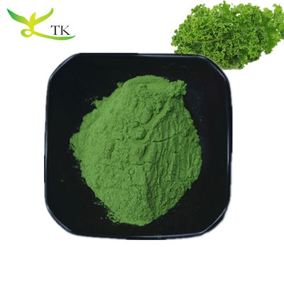 Bột siêu thực phẩm tự nhiên bổ sung thảo dược 10:1 20:1 chiết xuất cải xoăn bột lớn