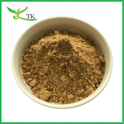 Thức ăn tự nhiên bột nhũng môi màu xanh lá cây bột chiết xuất bột nhũng môi màu xanh