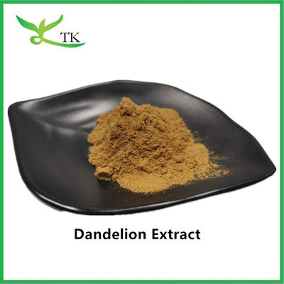Chiết xuất Dandelion tự nhiên 5% chiết xuất rễ Dandelion bột Flavonoid