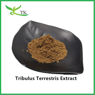 Giá bán buôn tốt nhất 100% chất chiết xuất Tribulus Terrestris tự nhiên bột Saponin 40%