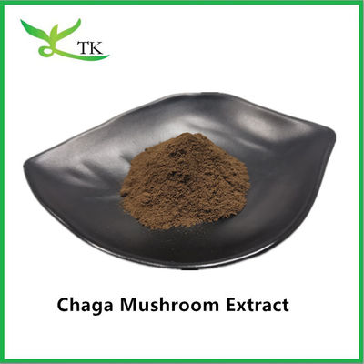 Chất bổ sung chăm sóc sức khỏe tự nhiên Chiết xuất nấm Chaga Chiết xuất bột Chaga Polysaccharide 20%