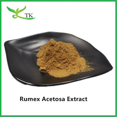 Giá bán buôn 100% chiết xuất thảo dược tự nhiên Rumex Acetosa L. chiết xuất bột