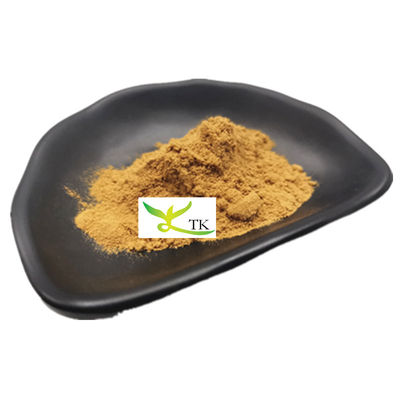 Giá bán buôn cấp thực phẩm chiết xuất xương rồng tự nhiên chiết xuất xương rồng bột bán lẻ