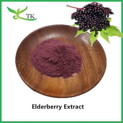 100% chất liệu chiết xuất quả elderberry tự nhiên Black Elderberry Extract chất liệu chiết xuất elderberry