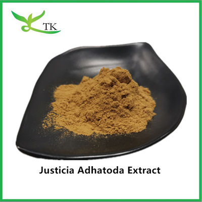 100% Natural Justicia Adhatoda Extract bột Adhatoda Vasica Extract 10:1