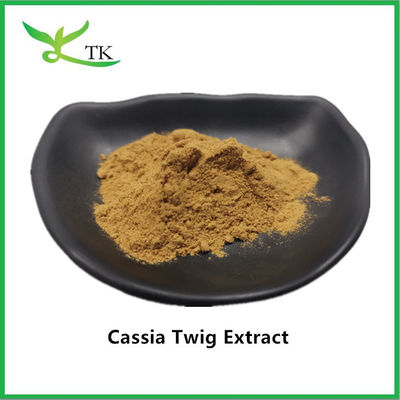100% Dầu chiết xuất thảo dược truyền thống Trung Quốc tự nhiên Gui Zhi Cassia Twig Extract Powder 10:1