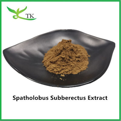 100% chất liệu chiết xuất Caulis Spatholobi tự nhiên bột chiết xuất Spatholobus Suberectus