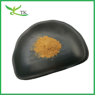 Chất ăn tự nhiên Chiết xuất mầm lúa mì bột 10:1 20:1