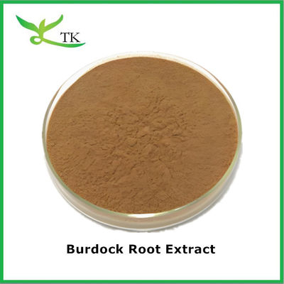 Chất bổ sung thảo dược Arctium Lappa chiết xuất Burdock chiết xuất bột hòa tan trong nước