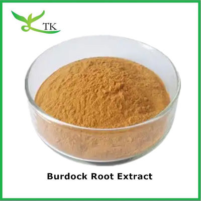 Bột thảo dược thực vật tự nhiên chiết xuất rễ Arctium Lappa