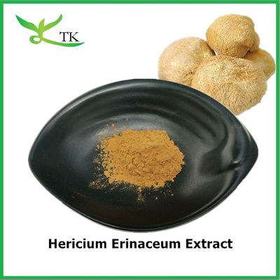 Chất liệu thực phẩm tinh khiết Hericium Erinaceum Extract Hericium Erinaceum