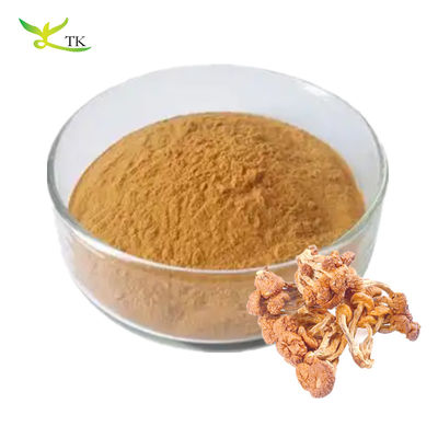 Chất lượng thực phẩm tinh khiết Pholiota tự nhiên Nameko chiết xuất polysaccharides bột