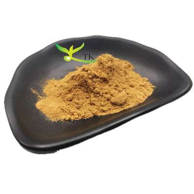 Giá bán buôn Lớp thực phẩm chiết xuất Galangal chiết xuất gốc Galangal bột