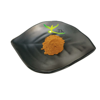 Chiết xuất thảo dược tự nhiên Vitex Agnus Castus Chiết xuất Vitex Agnus Castus Giá bột
