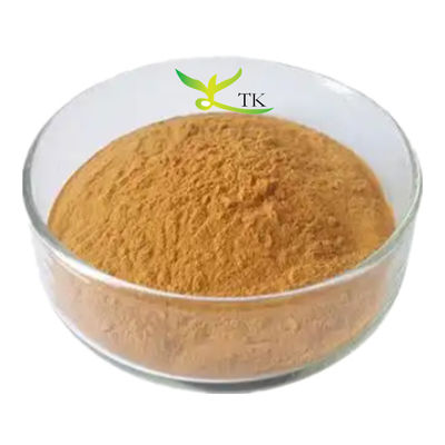 Giá bán buôn 100% chất chiết xuất Verbascum Thapsus tự nhiên bột 10:1