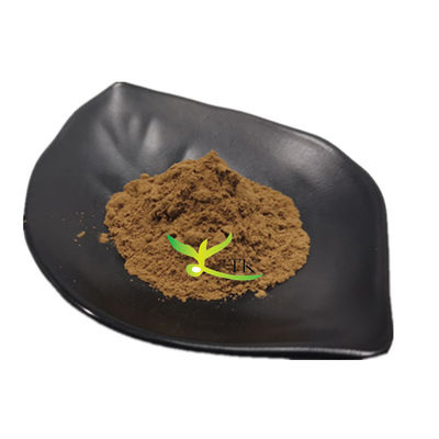 Fucoidan tự nhiên bột chiết xuất rong biển nâu Giá Fucoidan