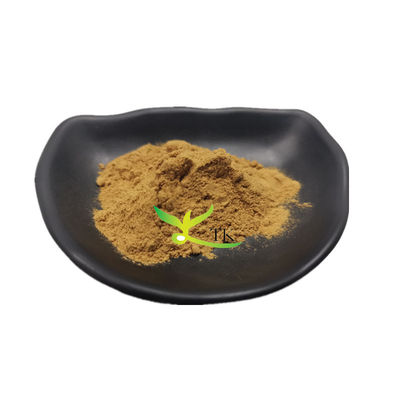 100% chất lượng thực phẩm tự nhiên Salsola Collina chiết xuất Salsola Collina bột Giá