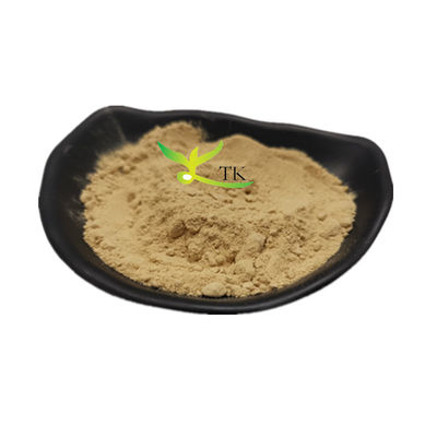 100% Eucommia Ulmoides Extract tự nhiên bột Eucommia Leaves Extract Giá