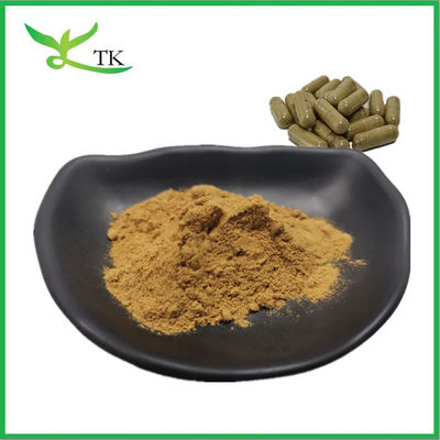 Giá tốt nhất chiết xuất tảo biển màu nâu tự nhiên chiết xuất tảo kelp bột fucoidan