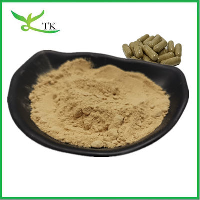 Giá bán buôn Giá thực phẩm tự nhiên Chất chiết xuất tảo biển màu nâu Chất chiết xuất tảo bột