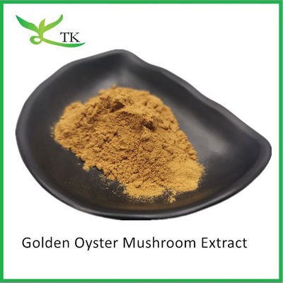 Chất bổ sung nấm tự nhiên Pleurotus Citrinopileatus Golden Oyster Nấm chiết xuất bột