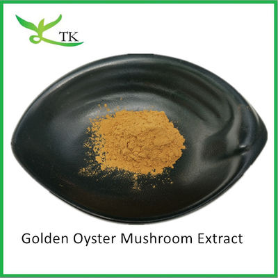 Polysaccharides nấm tự nhiên Pleurotus Citrinopileatus chiết xuất bột Citrine Pleurotus chiết xuất