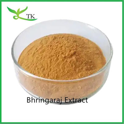 100% chăm sóc tóc tự nhiên Bhringaraj lá chiết xuất Eclipta Alba chiết xuất bột vua của tóc