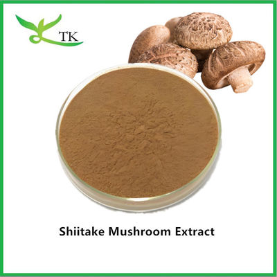 Đồ bán buôn bổ sung nấm tự nhiên chiết xuất bột nấm Shiitake chiết xuất giá