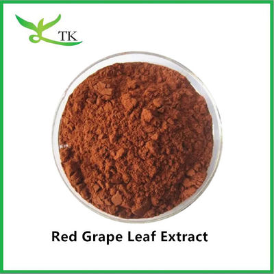 Chất lượng thực phẩm 100% chiết xuất lá nho đỏ tự nhiên bột chiết xuất nho