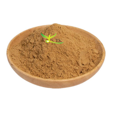 Chiết xuất thực vật tự nhiên Platycladus Orientalis lá chiết xuất bột cho chăm sóc tóc